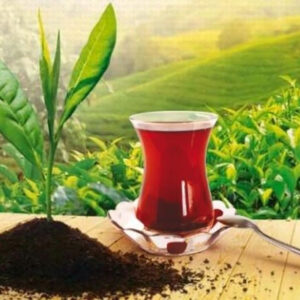Çaylar